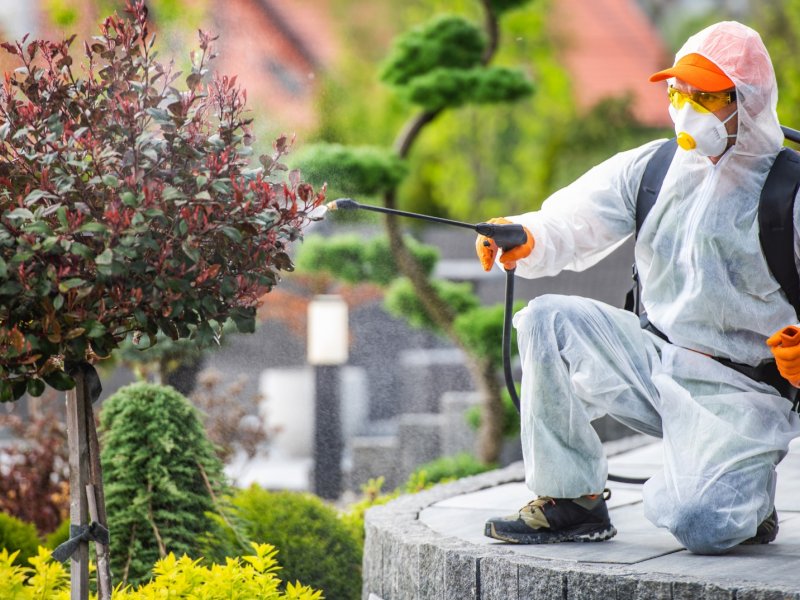 Gökçebey Haşere İlaçlama